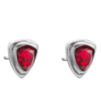 Серебряные серьги женские Ciclon Majestic