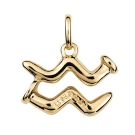 Золотая подвеска знак зодиака Водолей UNOde50 Aquarius