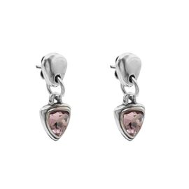 Серебряные серьги женские Ciclon Destiny