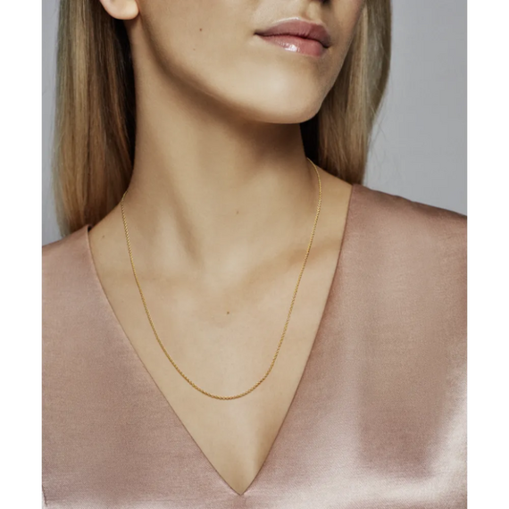 Золотая цепочка женская Pandora Shine, изображение 2