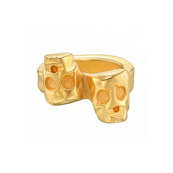 Кольцо Are you talking to me?