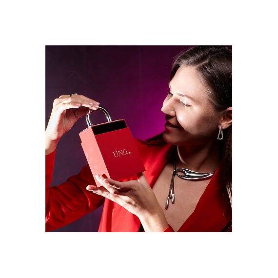 Подарочная коробка средняя в виде замка UNOde50, Размер (мм): 255x184x58, изображение 5