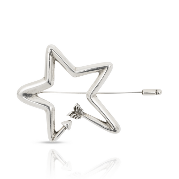 Серебряная брошь Ciclon Flella