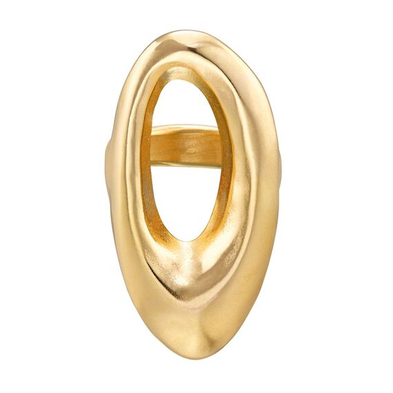 Кольцо Orbiting