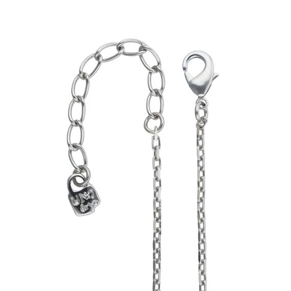 Серебряное ожерелье с кристаллом Сваровски UNOde50 Архэ, изображение 3