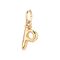 Золотая подвеска на цепочку Буква P малая UNOde50, изображение 2